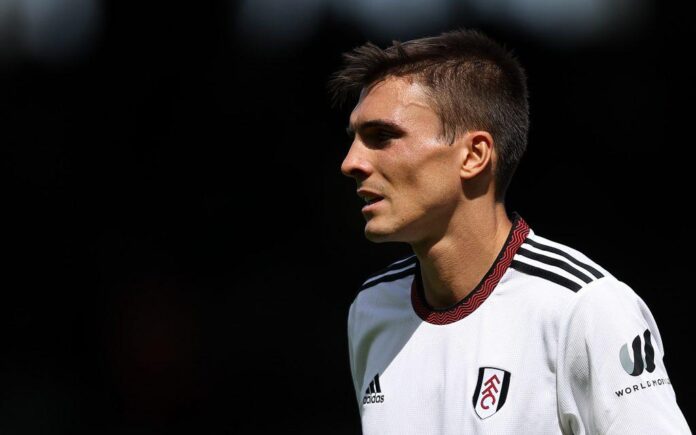 Midfielder Joao Palhinha commits to Fulham with new deal, no release clause