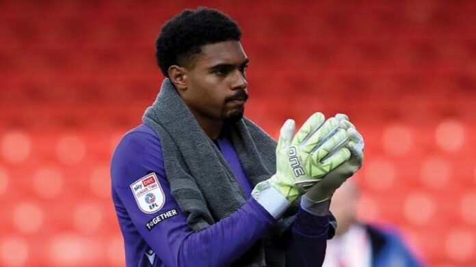 Owen Goodman, Crystal Palace, Huddersfield Town, Premier League, League One, AFC Wimbledon, Flying Eagles, Nigeria, Walter Benítez, PSV Eindhoven, loan move, young goalkeeper, football news